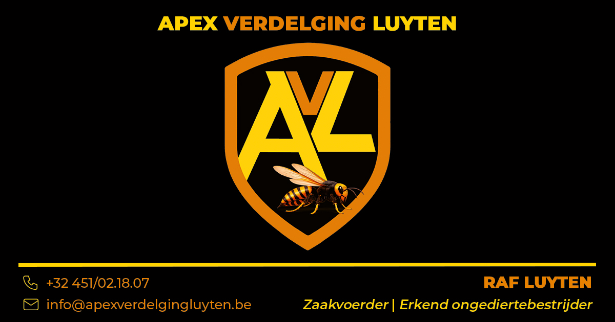 Logo Apex Verdelging Luyten
